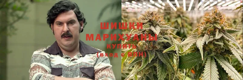 Бошки марихуана White Widow  ссылка на мегу ТОР  Галич 